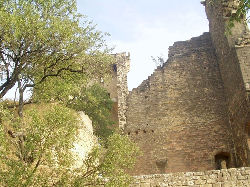 Les ruines du chateau sauvegardes de la vgtation