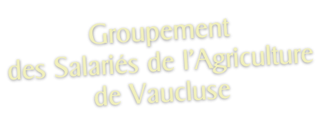 Groupement
des Salariés de l’Agriculture
de Vaucluse